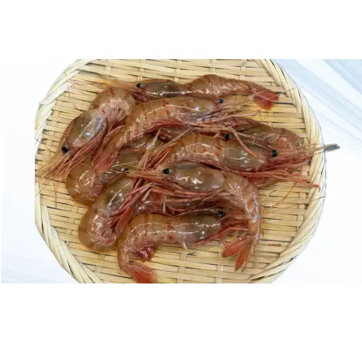 8-013-008　天然ボタンエビ 500g（20尾前後）