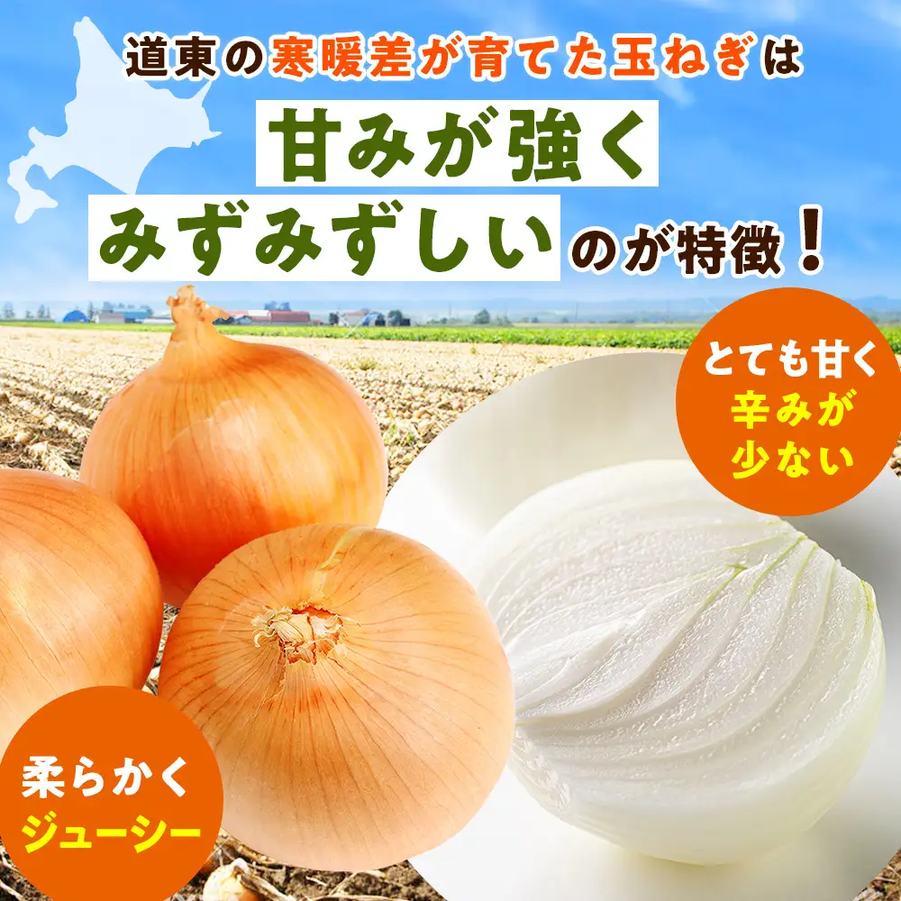 R8年産 玉ねぎ （M玉・S玉混合） 10kg オホーツクコロポックル | 北海道津別町