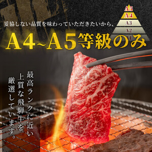 【最短発送】 飛騨牛 もも 焼肉 500g BBQ 赤身 小分け 肉のひぐち