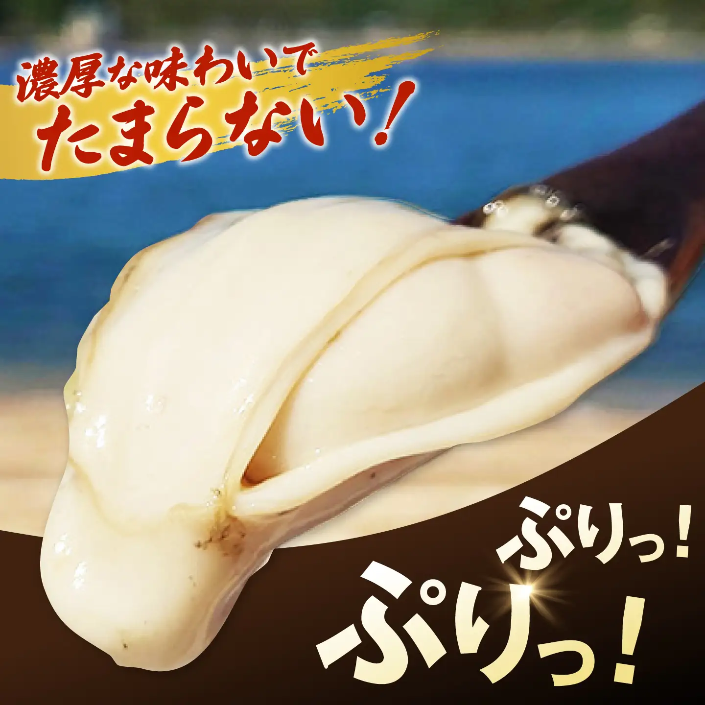 特選 牡蠣三昧！【瞬間冷凍】広島牡蠣 むき身 生食用 60g×20袋 大容量 カキ かき 料理 簡単 魚介類 海鮮 ギフト 広島県産 江田島市/株式会社門林水産[XAO063]