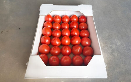 広島県江田島産 キングトマト 28-35玉入 2kg×1箱 【12月中旬より発送】 トマト 完熟 野菜 国産 中玉 ミディトマト 濃厚 甘い 江田島市/ひろしま農業協同組合江田島アグリセンター[XCA003]