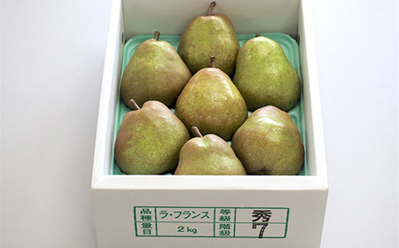 【令和8年産先行予約】 十三代目 佐藤市右衛門 ラ・フランス 約2kg (6～8玉 秀 2～4L) 《令和8年11月上旬～発送》 『旬の果実 佐藤市右衛門農園』 ラフランス 西洋梨 洋なし 果物 フルーツ デザート 山形県 南陽市 [1967]
