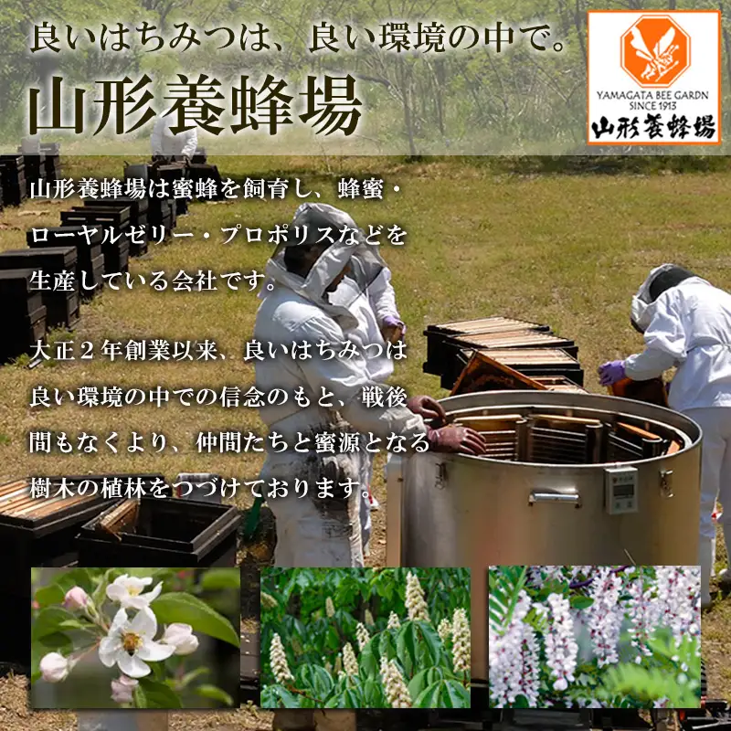 純粋蜂蜜 しな蜜 500g FZ20-830