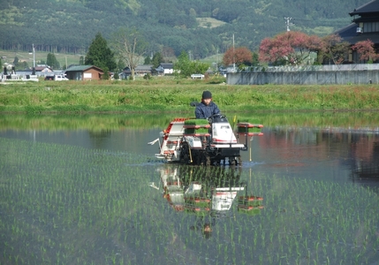 コシヒカリ 特別栽培米 玄米 10kg | そば処こうや