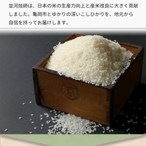 米 コシヒカリ 30kg 京都丹波米 玄米 令和7年産 訳あり 簡易包装