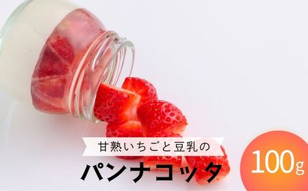 フルーツと豆乳のパンナコッタ 9個セット 900g (100g×3個×3種) | フルーツ専門店やまさん