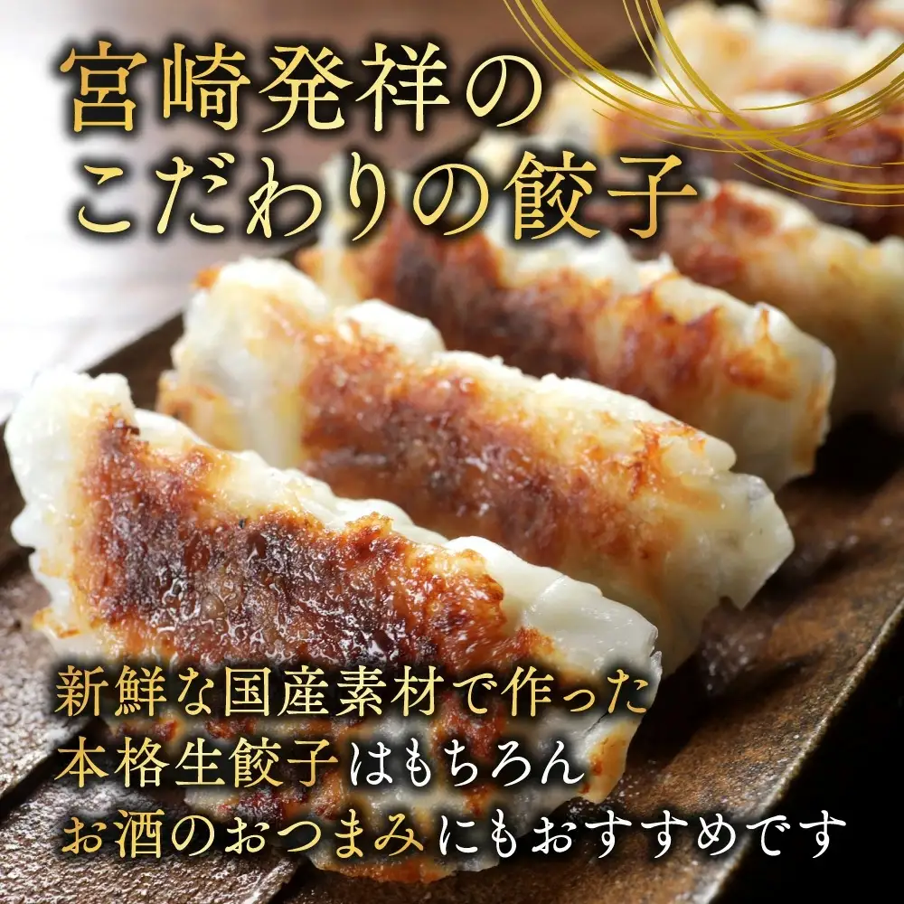 餃子 生ぎょうざ 50個 たれ付き〔AA-O1-001〕餃子