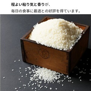 米 キヌヒカリ 30kg 京都丹波米 玄米 令和7年産 訳あり 簡易包装