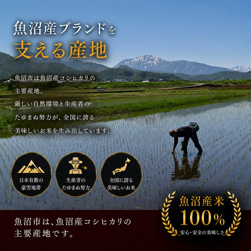 令和8年産 魚沼産コシヒカリ 惣五郎（精米）2kg お米 