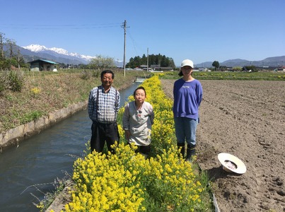 『どじょうのいる田んぼのお米』コシヒカリ 白米 5kg | 馬場農園