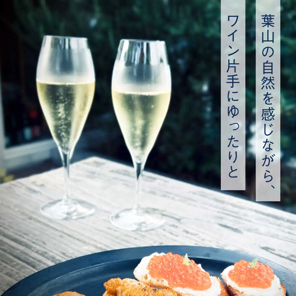 ナチュラルワインとおつまみを楽しむ利用券 3，000円分【ami hayama】[ASBI003]