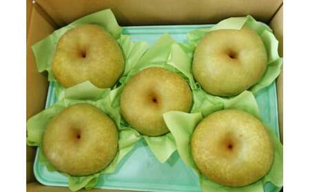 【数量限定】精華園のこだわり 梨（約3kg）品種はおまかせ【2026年8月下旬～10月下旬迄発送予定】