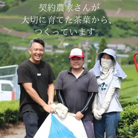 【計100包】 深蒸し一番茶使用 掛川産緑茶 ティーバッグ (3g×20包)×5袋【配送不可地域：離島・沖縄県】【1716178】