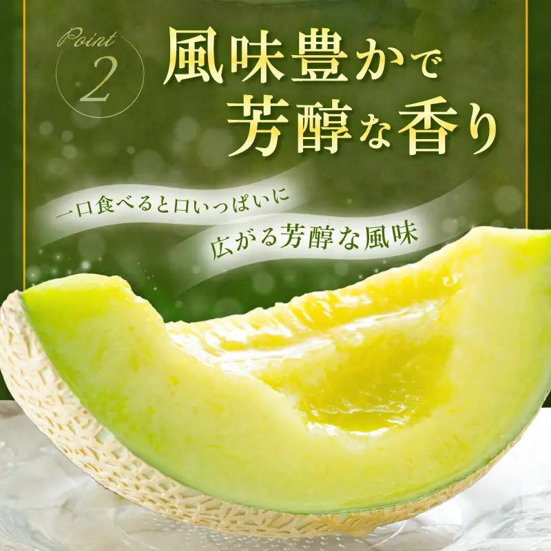 【先行予約】京丹後・俵野産 砂丘メロン 2L以上 1玉（2027年7月下旬～発送）