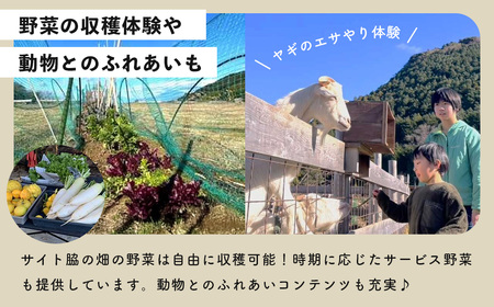 【伊豆キャンファーム】オートサイト利用補助券9,000円分｜富士山と海が見える絶景のロケーション！静岡県、西伊豆の土肥のキャンプ場