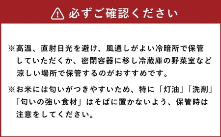【 令和7年産 】 くまさんの輝き 5kg 人吉球磨 九州 粘り 甘み 旨み お米 米 コメ こめ 白米 白飯 ご飯 米粒 飯 国産 熊本県産 濃厚