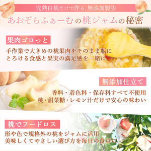 農家のこだわり桃ジャム 添加物不使用・おうち用パウチ お試し桃ジャム　1個  【aozf008】
