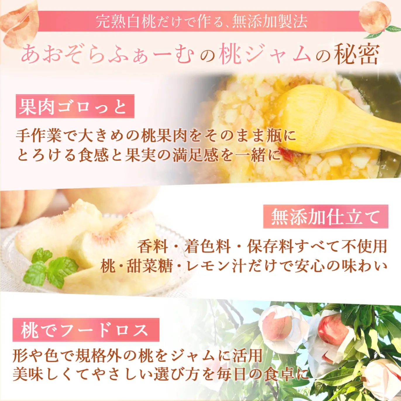 農家のこだわり桃ジャム 添加物不使用・おうち用パウチ お試し桃ジャム　2個 【aozf009】