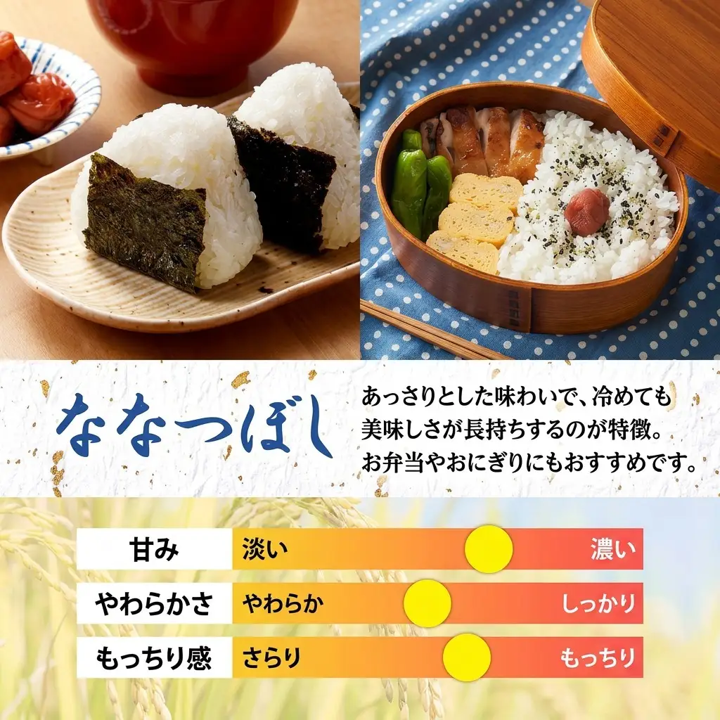 ななつぼし 北海道産 特A 精米【5kg×1袋】【3ヶ月定期便】【R8先行予約】