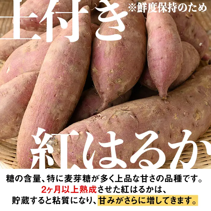 isa877 《訳あり》熟成紅はるか(約10kg・SS～LLサイズ混合) 訳あり さつまいも 紅はるか 鹿児島 生芋 完熟 長期熟成 土付き べにはるか サツマイモ 焼き芋に 【いさ工房】