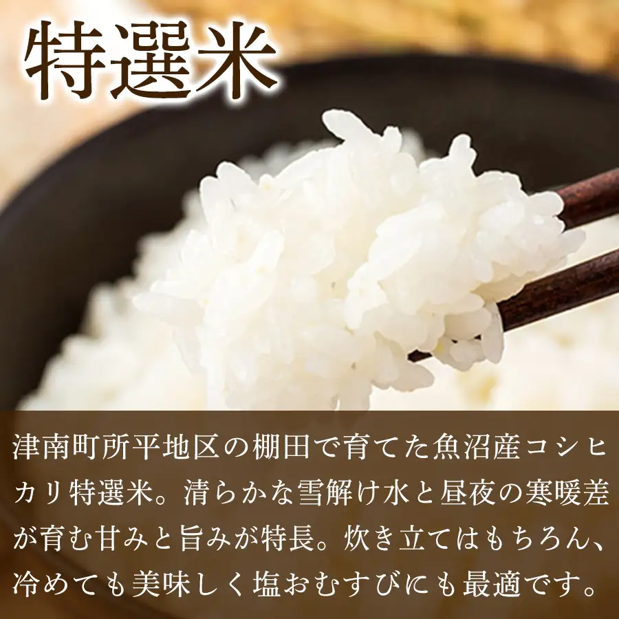 【令和8年産先行予約】【5ヶ月定期便】魚沼産コシヒカリ 特選米 5kg(5kg×1袋) | 津南町 魚沼