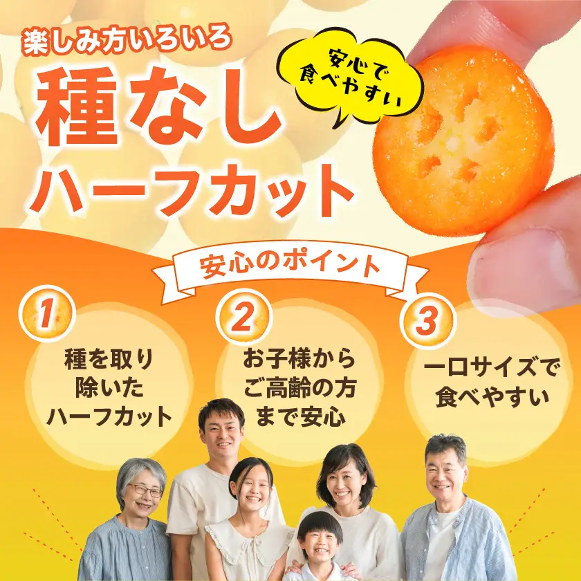 まるかじり氷結きんかん＜種なしハーフカット＞3パック〔11-J7-004-3〕_(都城市) 内山金柑園 完熟きんかん 氷結きんかん 急速冷凍 糖度16％以上 シャーベット