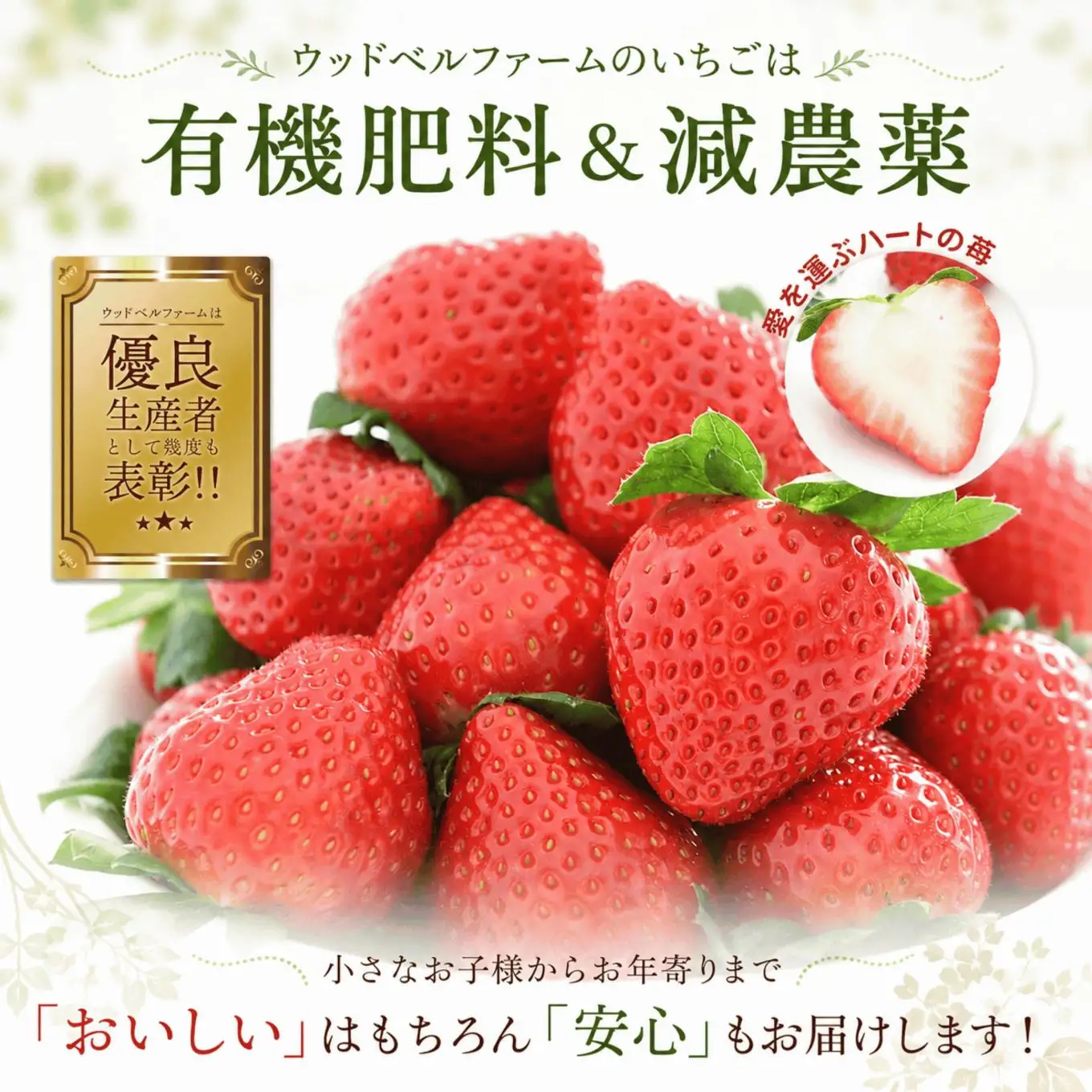 【2027年 先行予約】2月発送分 朝採れいちご とちあいか 2,000g 