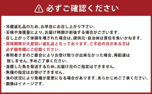 北海道産 船上活〆鮮魚詰め合わせ約3kg 【2026年10月上旬～12月上旬まで発送予定】 鮮魚 活〆 血抜き セット 旬 出汁 3キロ 魚 魚類 魚介 魚介類 食材 国産 鮮魚セット 詰め合わせ