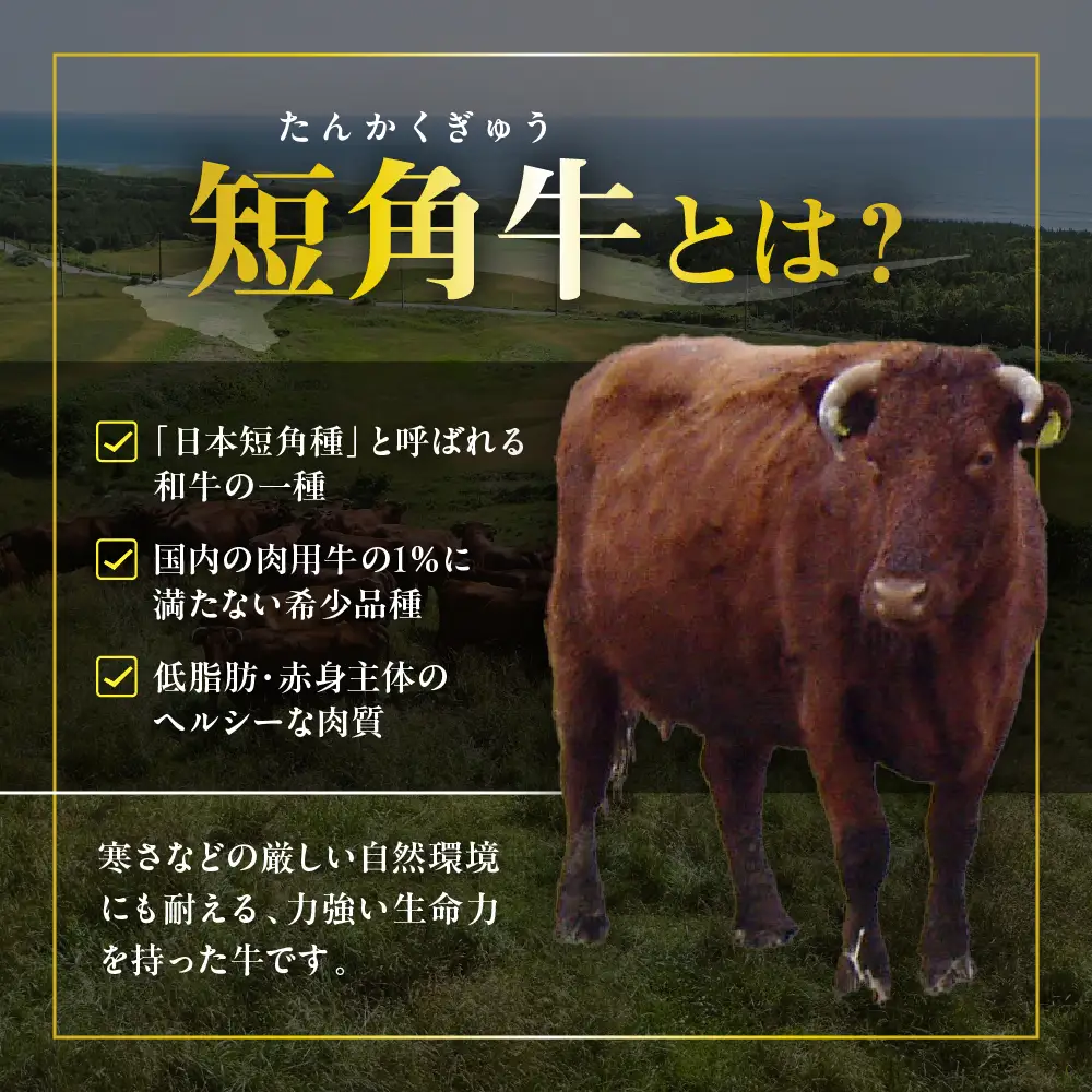 【えりも短角牛】サーロインステーキ