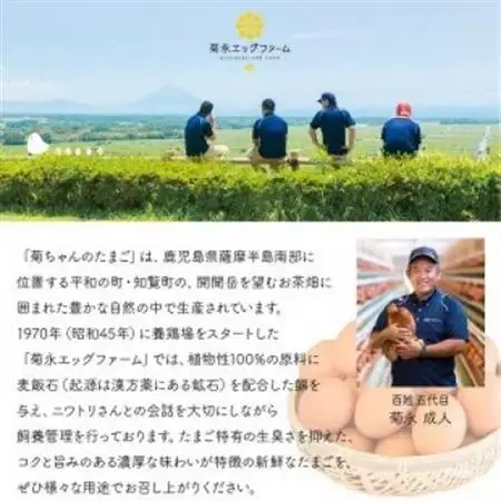 【発送月固定定期便】菊ちゃんのたまご(特級卵)(4・5・6・7・8・9月コース)全6回【配送不可地域：離島】【4084783】