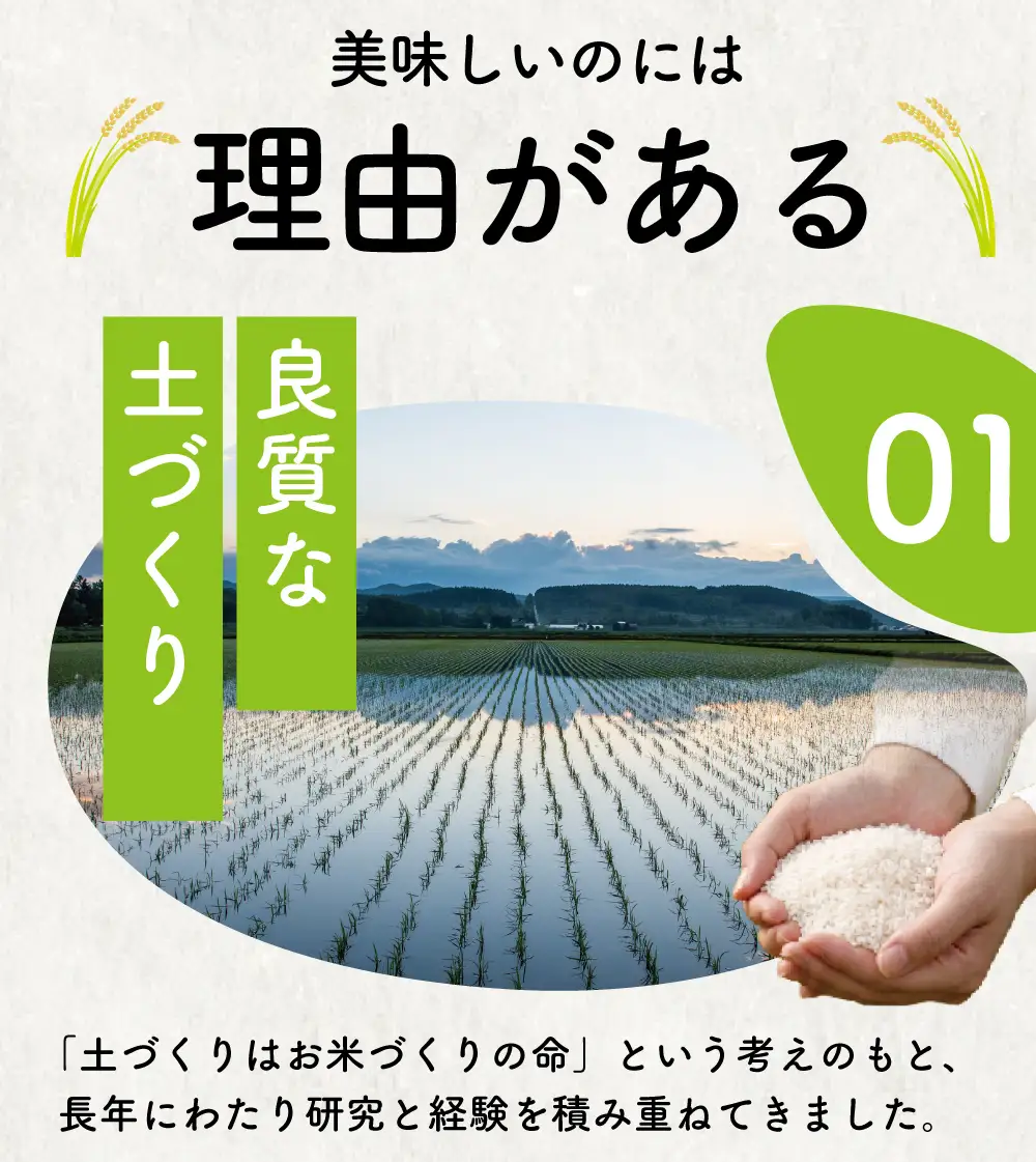 こしひかり 5kg コシヒカリ 8000円 令和7年産 [IWS004]