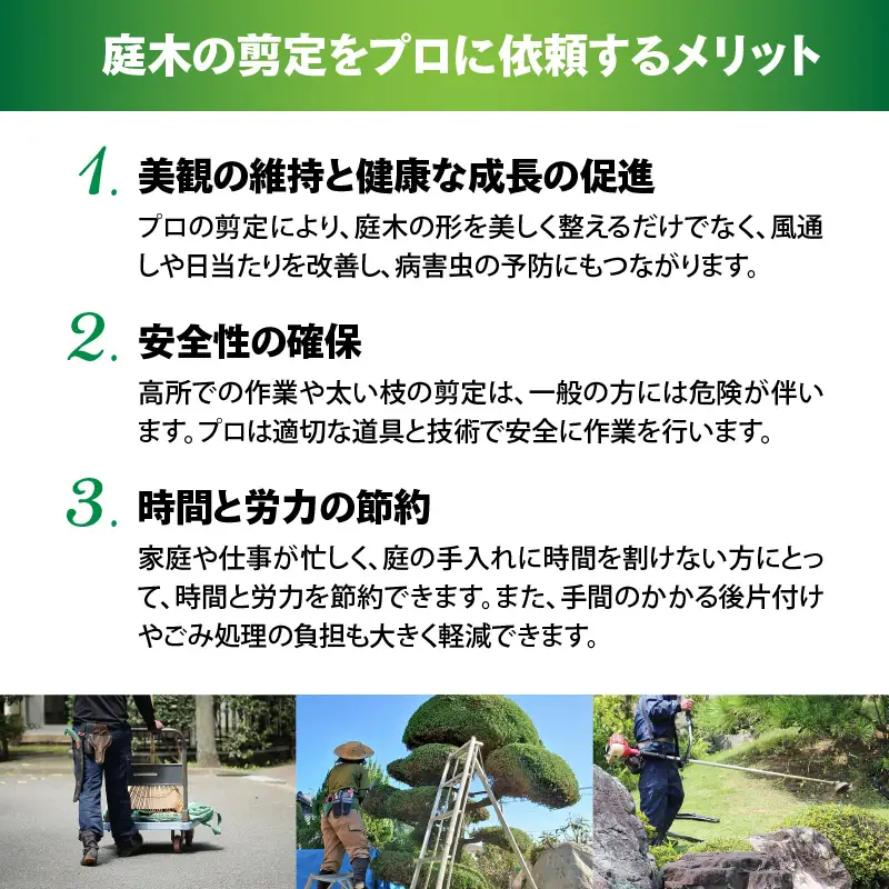 プロによる！お庭の維持管理 KN177-001 庭 維持管理