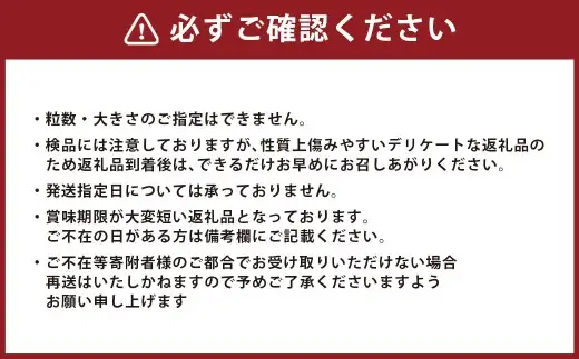 長崎市産びわ500g L玉サイズ（12個入） 贈答用箱入り  【2027年4月下旬-5月下旬発送予定】 びわ ビワ 果物 くだもの フルーツ 国産 国産フルーツ 常温 長崎県 長崎市