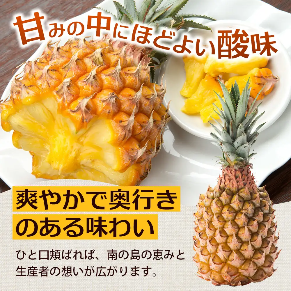 《先行予約》《2027年5月より順次発送》 与那国島産 ボゴールパイン 2～3玉セット 約2kg HN-1 | 沖縄県 与那国町 与那国島 パイン パイナップル ボゴール スナックパイン