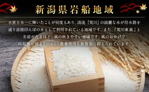 【新米受付・令和8年産米】 【定期便 3ヶ月】 新潟県村上市岩船産コシヒカリ  精米6kg（2kg×3個セット）×3ヶ月 1050011N