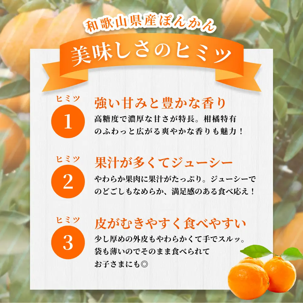 【訳あり・ご家庭用】 森本農園の手選別 ポンカン 約8kg 和歌山県産 サイズ混合 【北海道・沖縄・離島配送不可】【2027年1月上旬～2月上旬頃に順次発送】【BV-mrmt045】