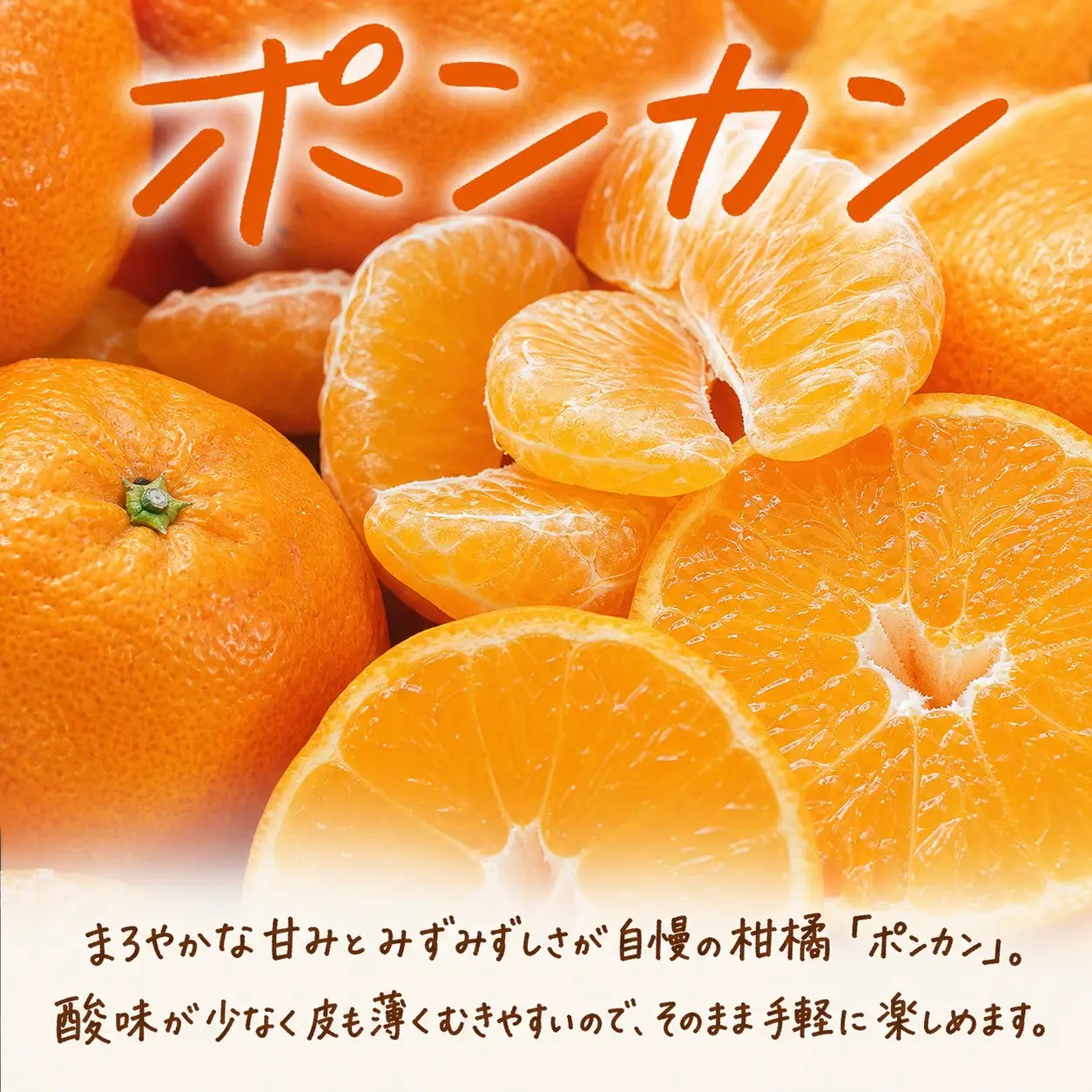 【発送月固定定期便】紀州和歌山産旬のフルーツセット(いちご4P・ポンカン・紀州デコ約5kg)全3回 【tkb450】