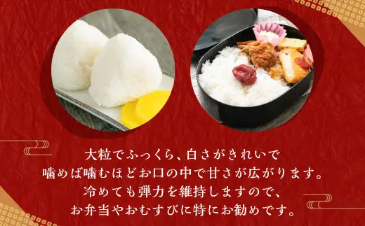 【新米受付・令和8年産米】新潟県村上市産 特別栽培米 新之助 2kg 1040008N