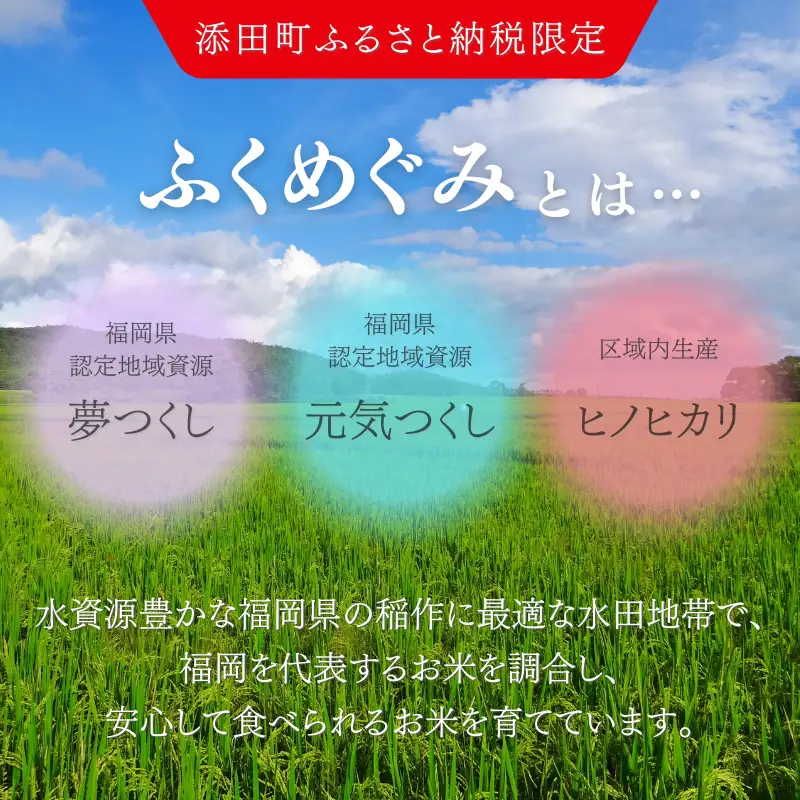 【無洗米】訳あり 10kg [a0826] 精米 10kg(5kg×2) ブレンド米