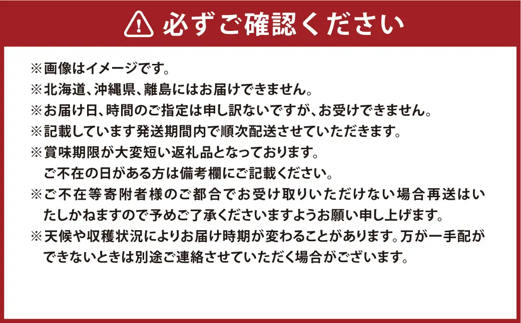 先行予約岡山県産ニューピオーネ 約500g × 2房 計約1kg 【 2026年8月下旬～10月下旬まで順次発送予定 】 ぶどう ブドウ 葡萄 フルーツ くだもの 果物 果実 大粒 果汁 国産 岡山県産 ニューピオーネ 種無し