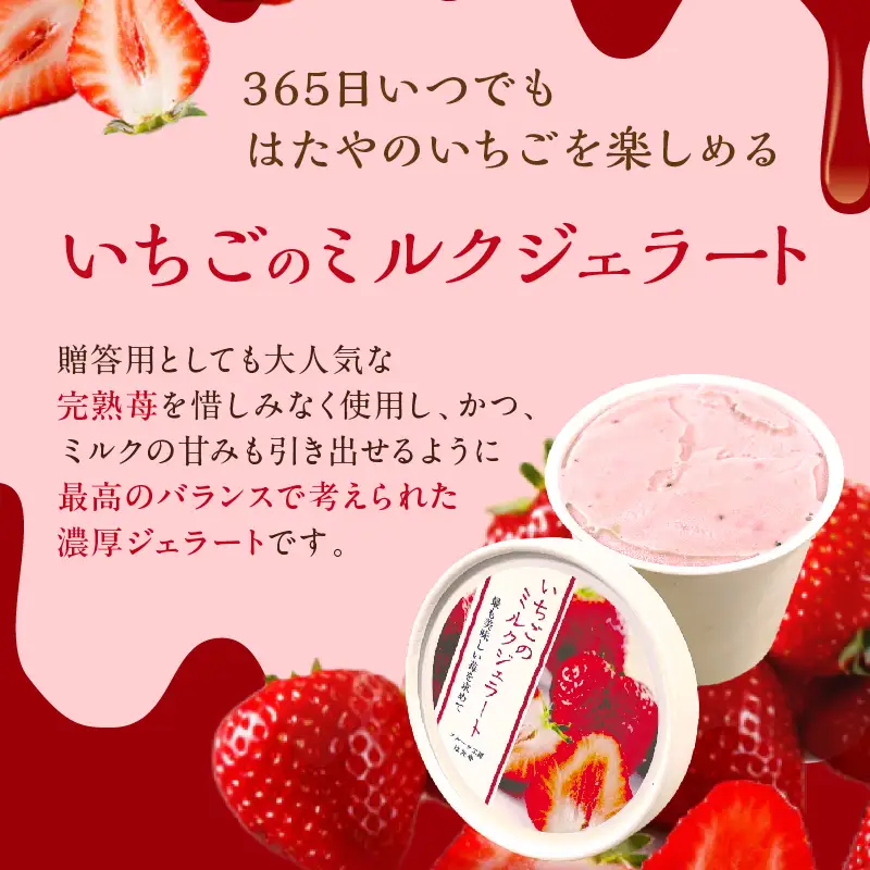 いちごミルクジェラート《 ジェラート アイス カップ いちご ミルク スイーツ 》【2501H09703】