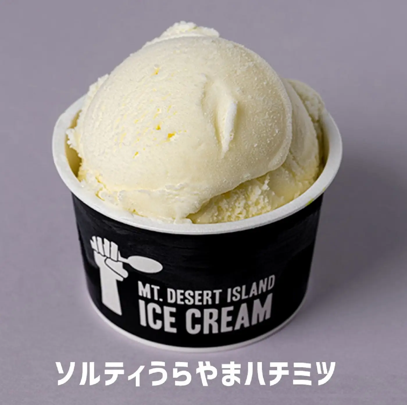 MDI 信州クラフトアイスクリーム６個セット