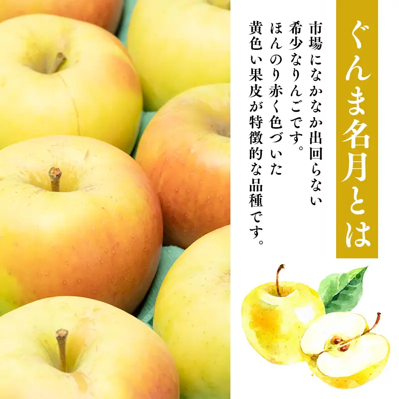 りんご 家庭用 ぐんま名月 約2kg 青森県平川市 りんご