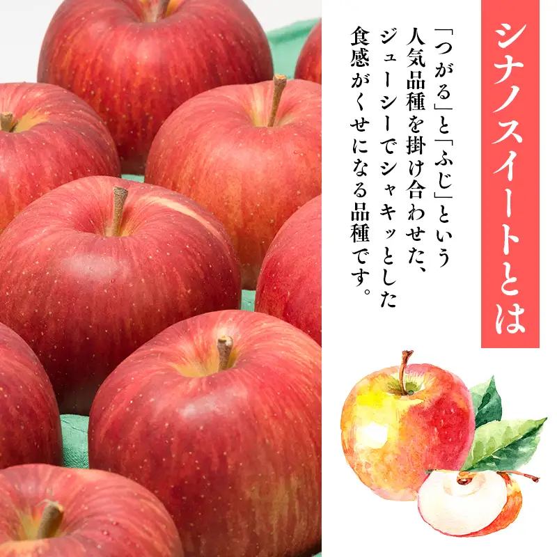 りんご 家庭用 シナノスイート 約2kg 青森県平川市 りんご