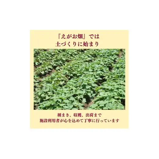 『えがお畑』で採れた安納芋 5kg