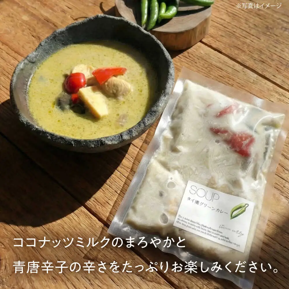 【全12回定期便】グリーンカレー 約180g×5パック 計900ｇセット 【SOUP LAB】[AYAK016]