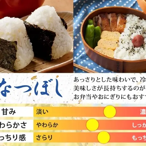 ななつぼし 10kg 定期便 6回 令和8年産 北海道 お米 米 ななつぼし