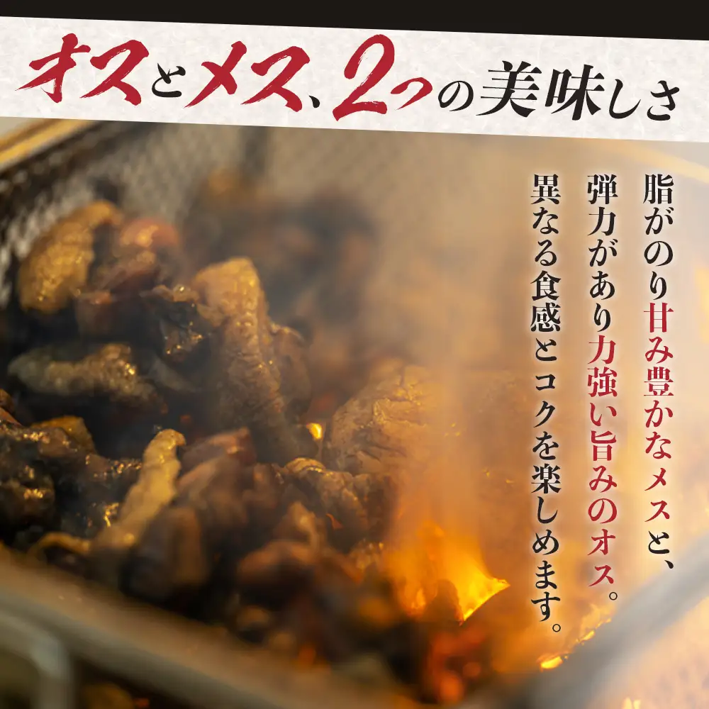 みやざき地頭鶏 オスメス食べ比べ モモ肉 セット 冷凍｜鶏肉 地鶏 モモ肉 カット肉 唐揚げ 焼き鳥 チキン南蛮 じとっこ 真空パック 興洋開発株式会社 宮崎県 諸塚村 KY-06