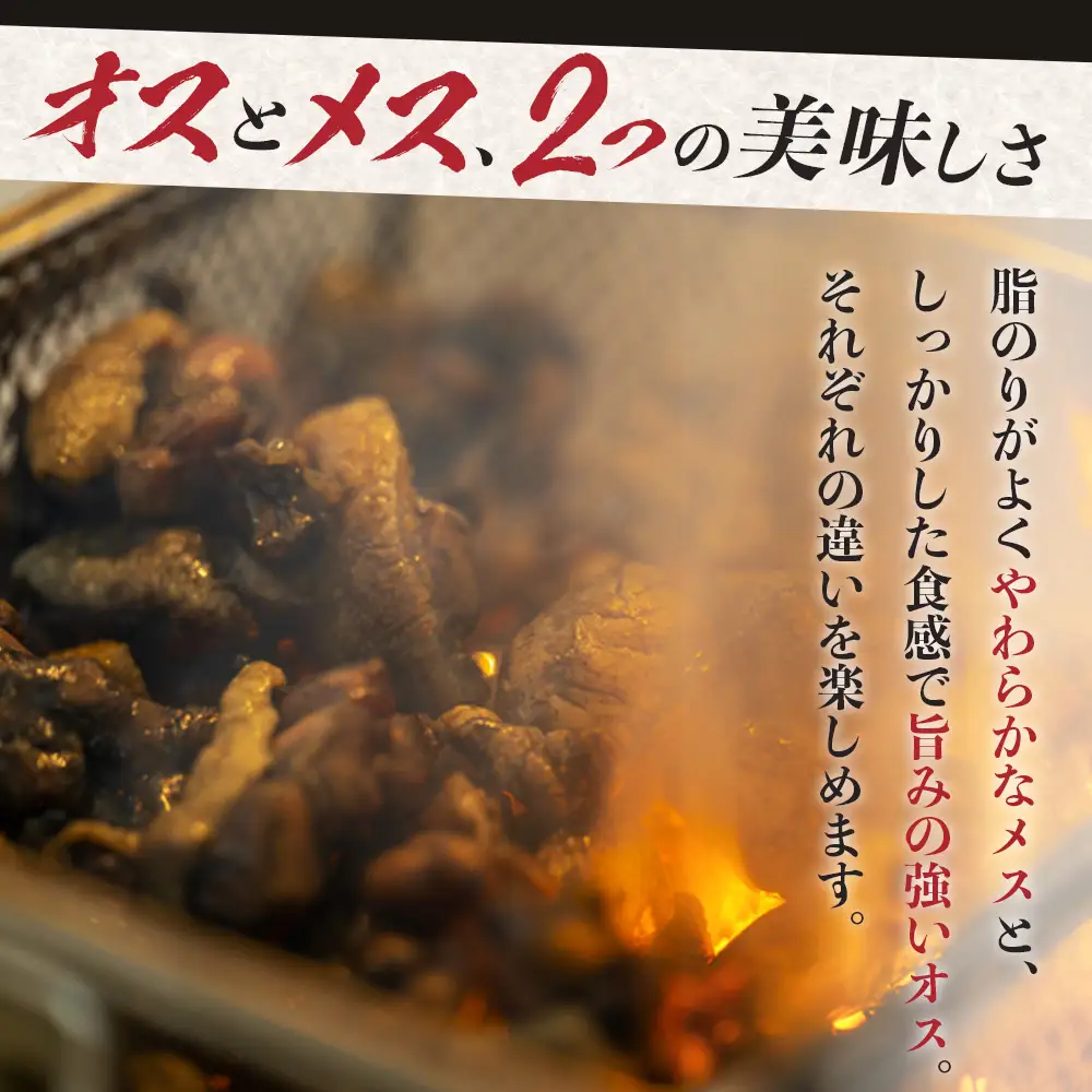 みやざき地頭鶏 オスメス食べ比べ ムネ肉 セット 冷凍｜鶏肉 地鶏 ムネ肉 カット肉 唐揚げ 焼き鳥 チキン南蛮 じとっこ 真空パック 興洋開発株式会社 宮崎県 諸塚村 KY-07