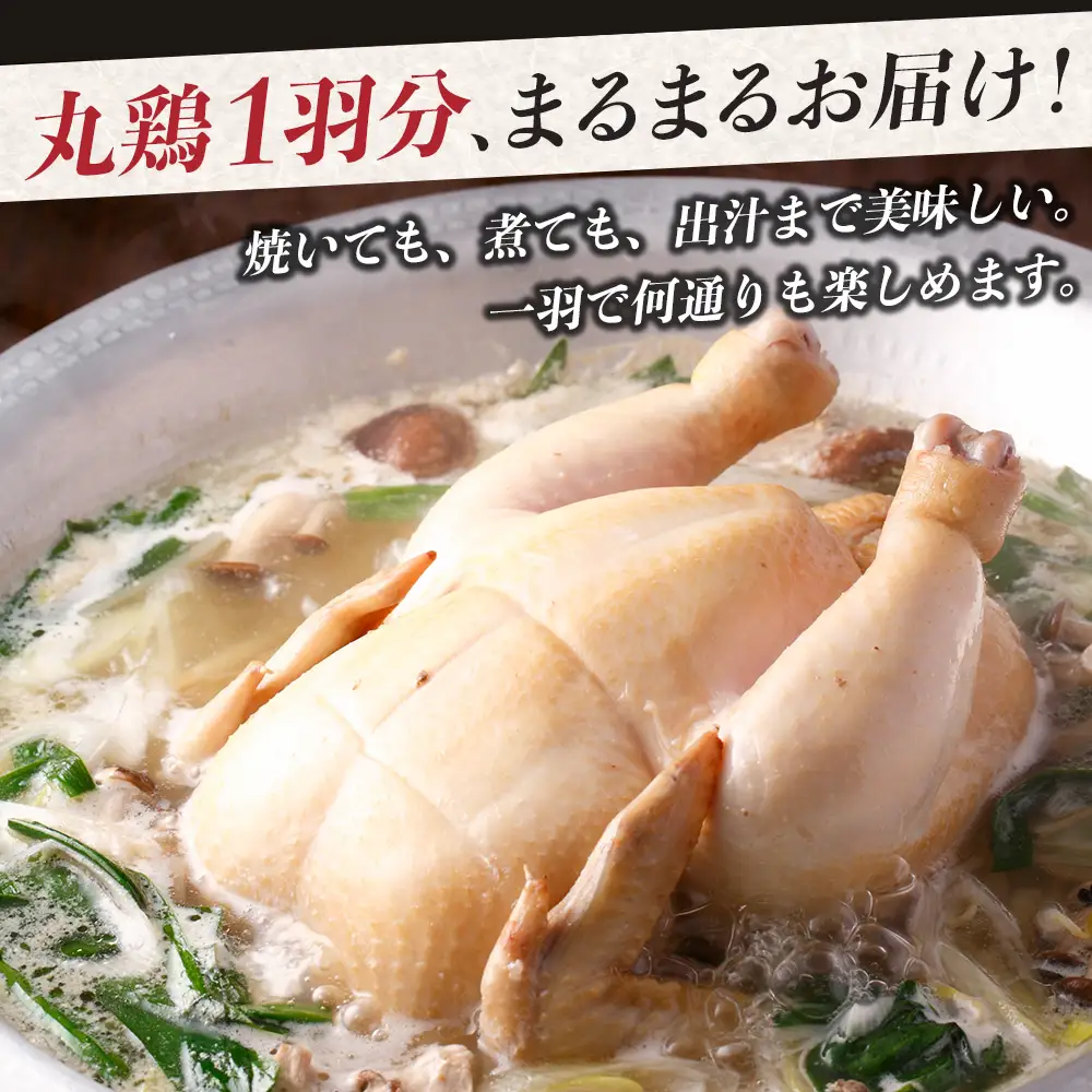 みやざき地頭鶏 1羽 中抜き 丸鶏 セット 冷凍｜鶏肉 地鶏 丸鶏 1羽まるごと ロースト チキン じとっこ 真空パック 興洋開発株式会社 宮崎県 諸塚村 KY-16